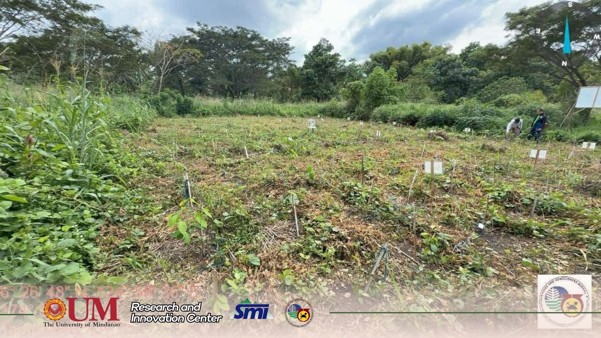 Restoring Life to Mined Lands: How IBE and UM CASE-ESD, SMI, and MGB XII Are Leading Science-Based Forest Rehabilitation in Tampakan