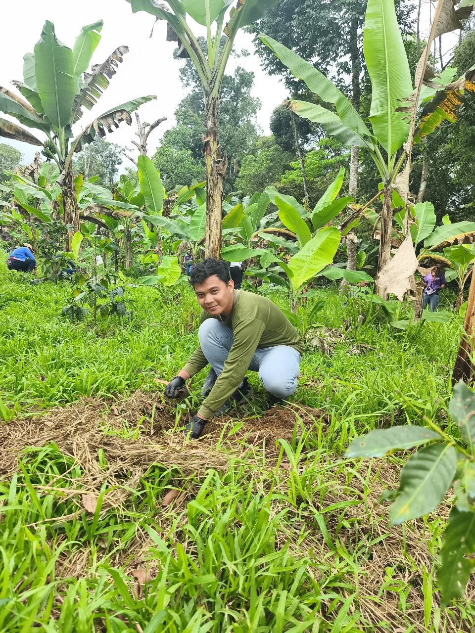 Growing Coffee, Preserving Culture: UM and Bagobo Tagabawa Tribe Unite for Sustainability