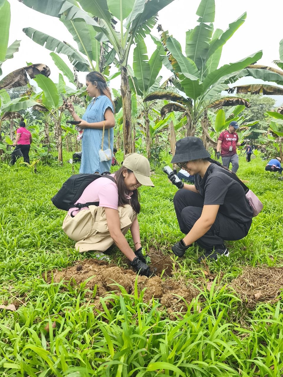 Growing Coffee, Preserving Culture: UM and Bagobo Tagabawa Tribe Unite for Sustainability