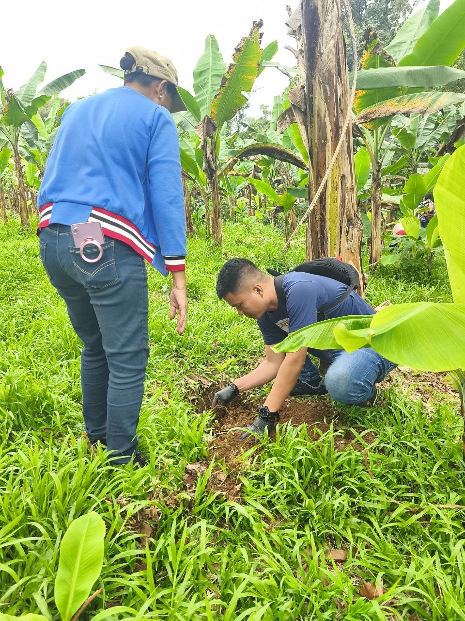 Growing Coffee, Preserving Culture: UM and Bagobo Tagabawa Tribe Unite for Sustainability