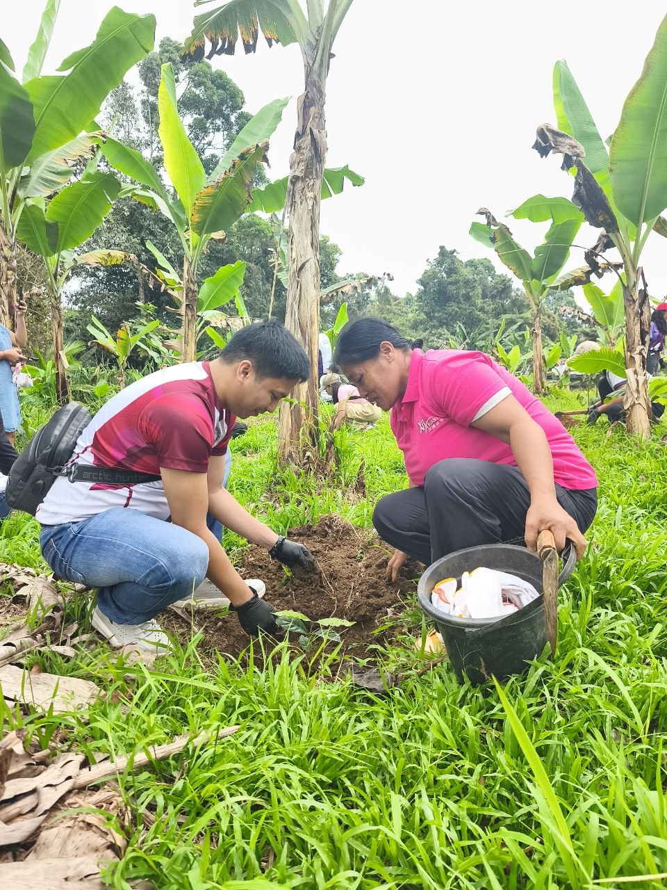 Growing Coffee, Preserving Culture: UM and Bagobo Tagabawa Tribe Unite for Sustainability