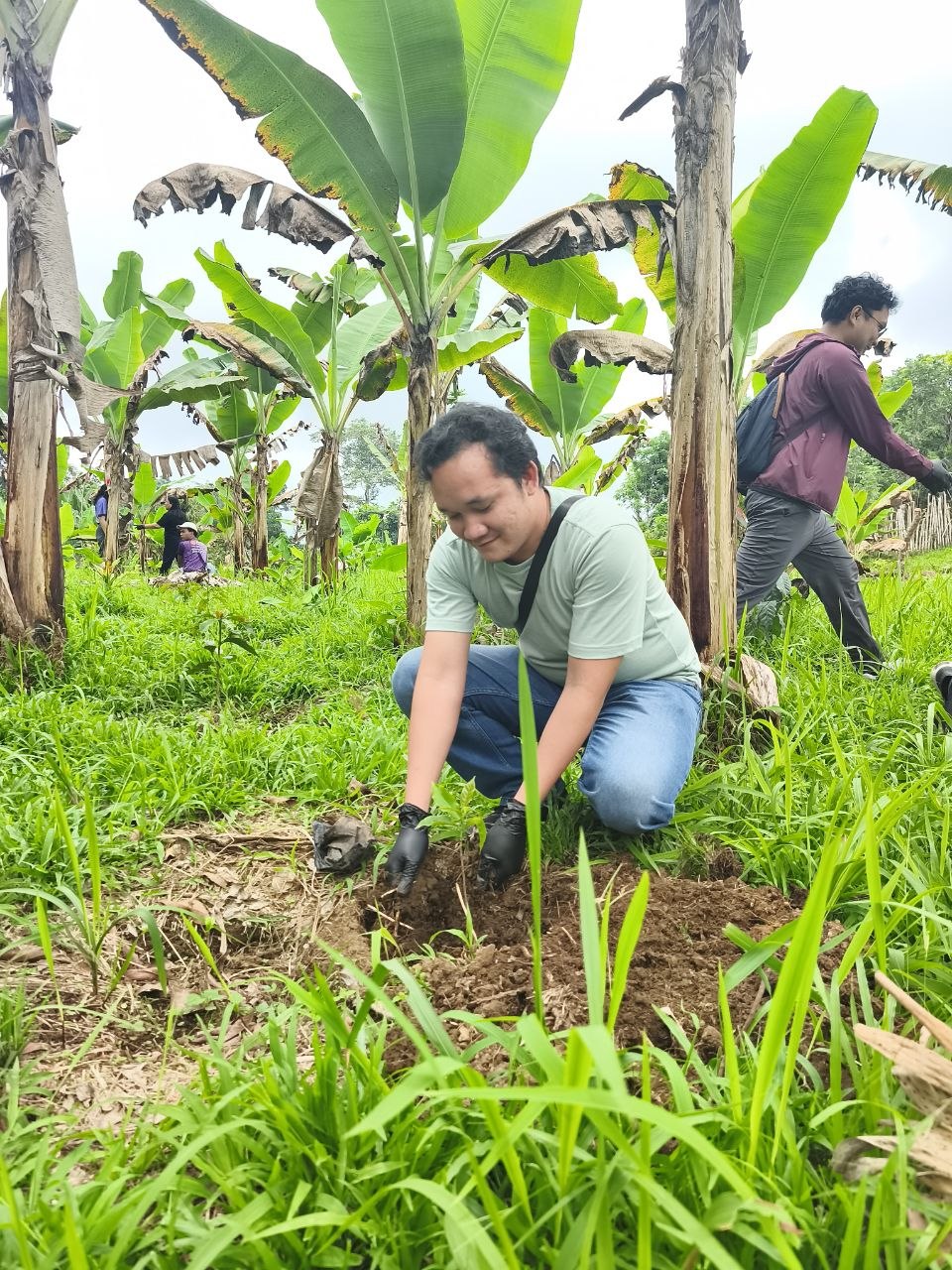 Growing Coffee, Preserving Culture: UM and Bagobo Tagabawa Tribe Unite for Sustainability