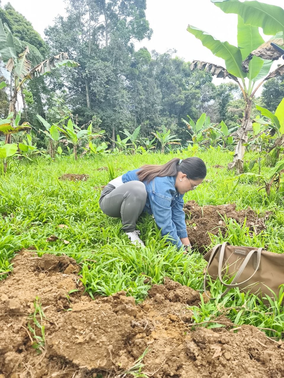 Growing Coffee, Preserving Culture: UM and Bagobo Tagabawa Tribe Unite for Sustainability