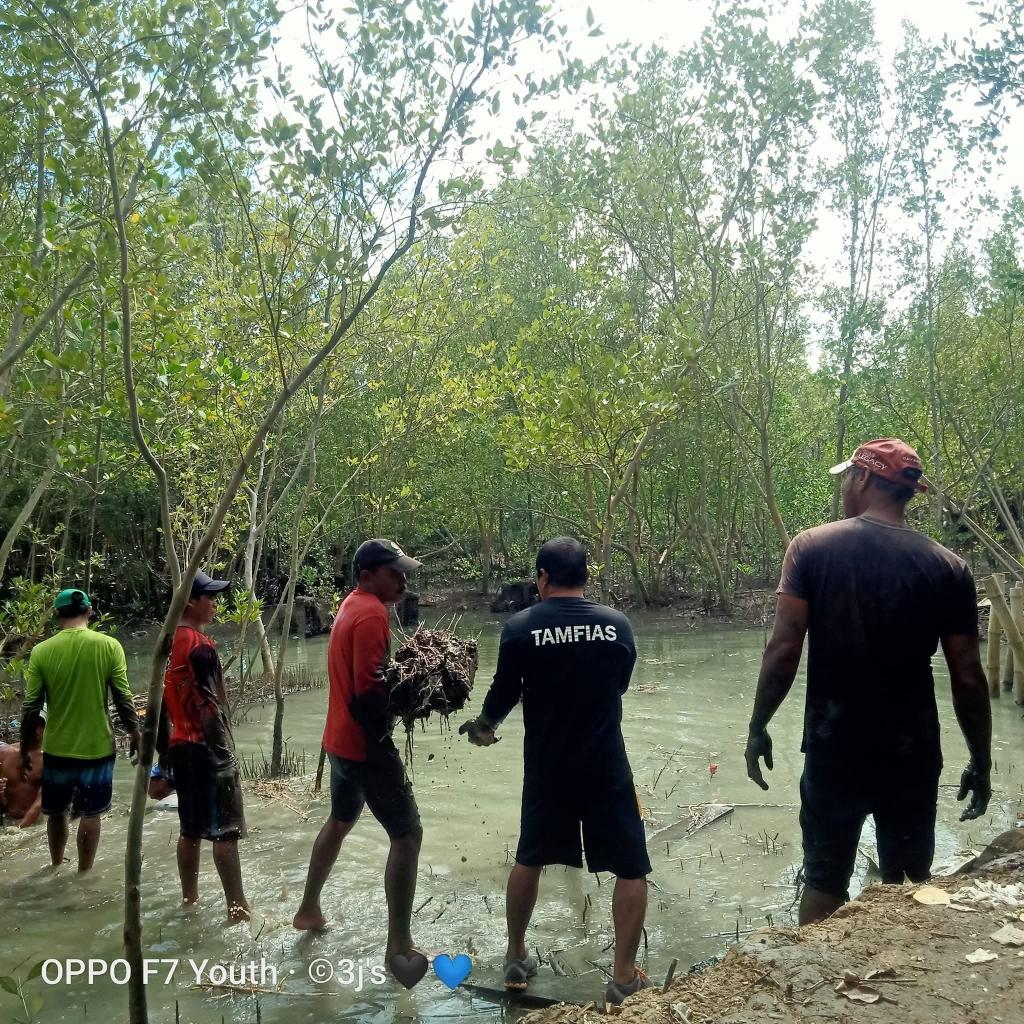 ECoAST: Enhancing Community-Based Mangrove Forest Management Approach and Sustainable Technologies - Image 4