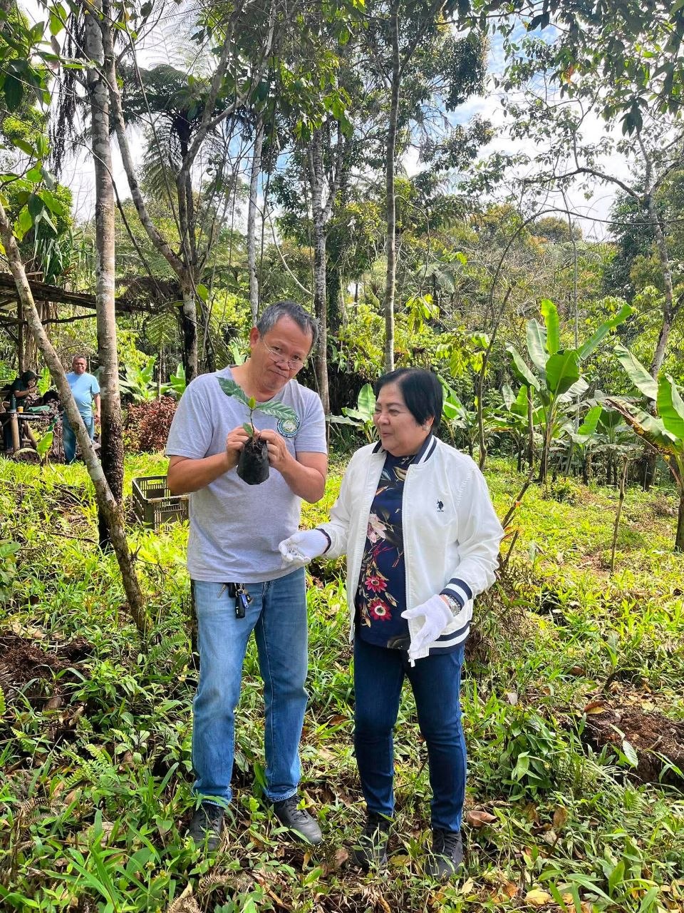 Growing Coffee, Preserving Culture: UM and Bagobo Tagabawa Tribe Unite for Sustainability