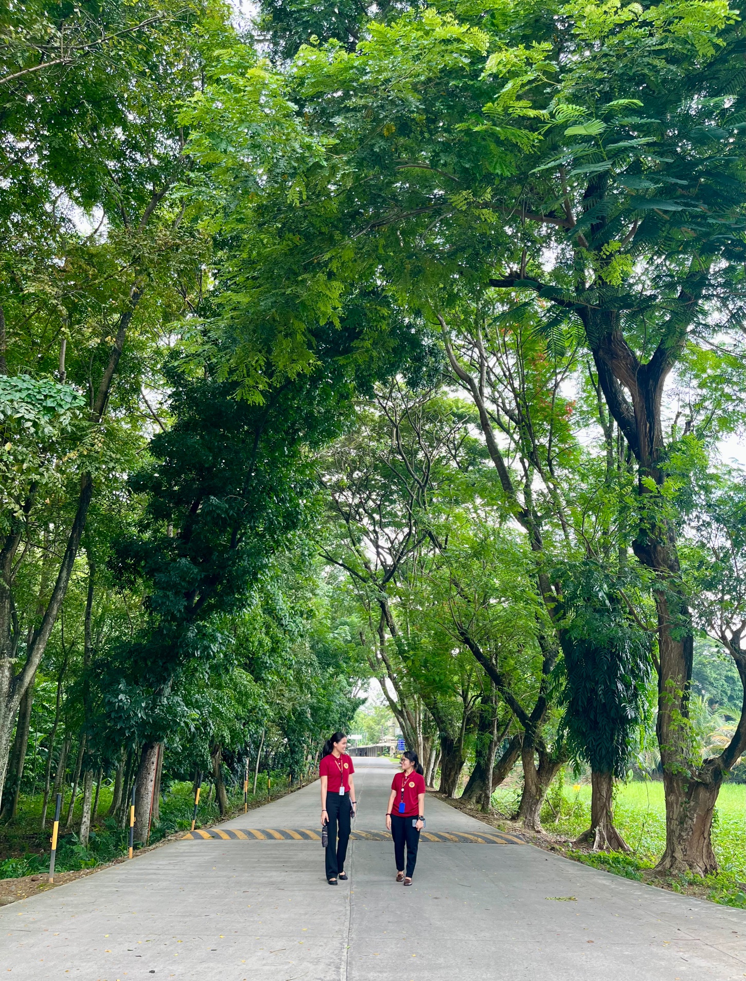 Biodiversity Image