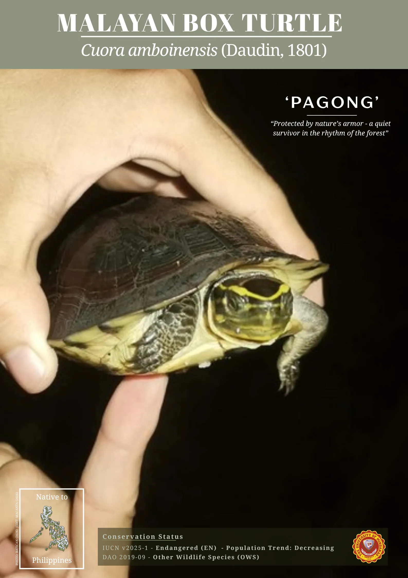 UM biodiversity
