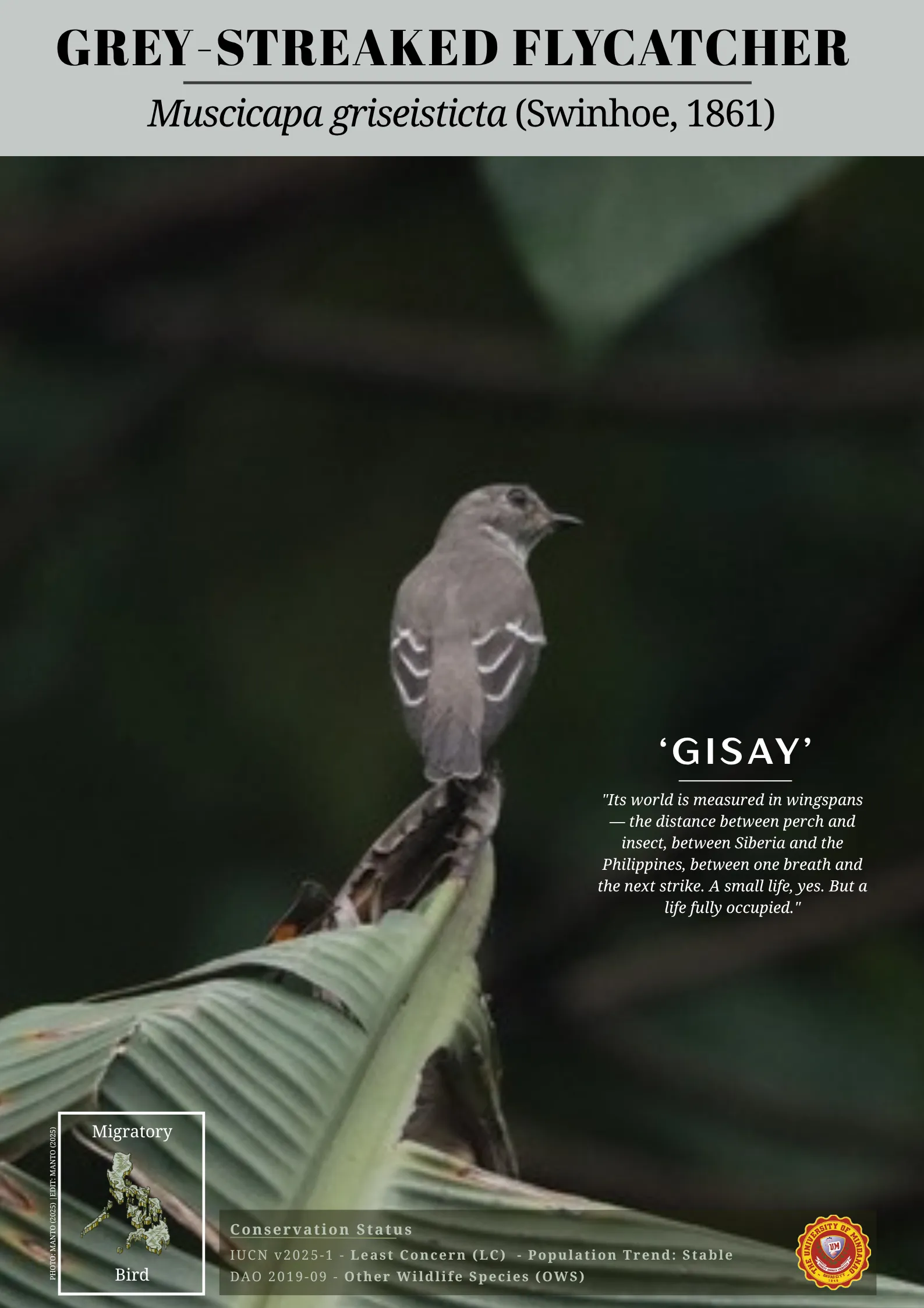 UM biodiversity