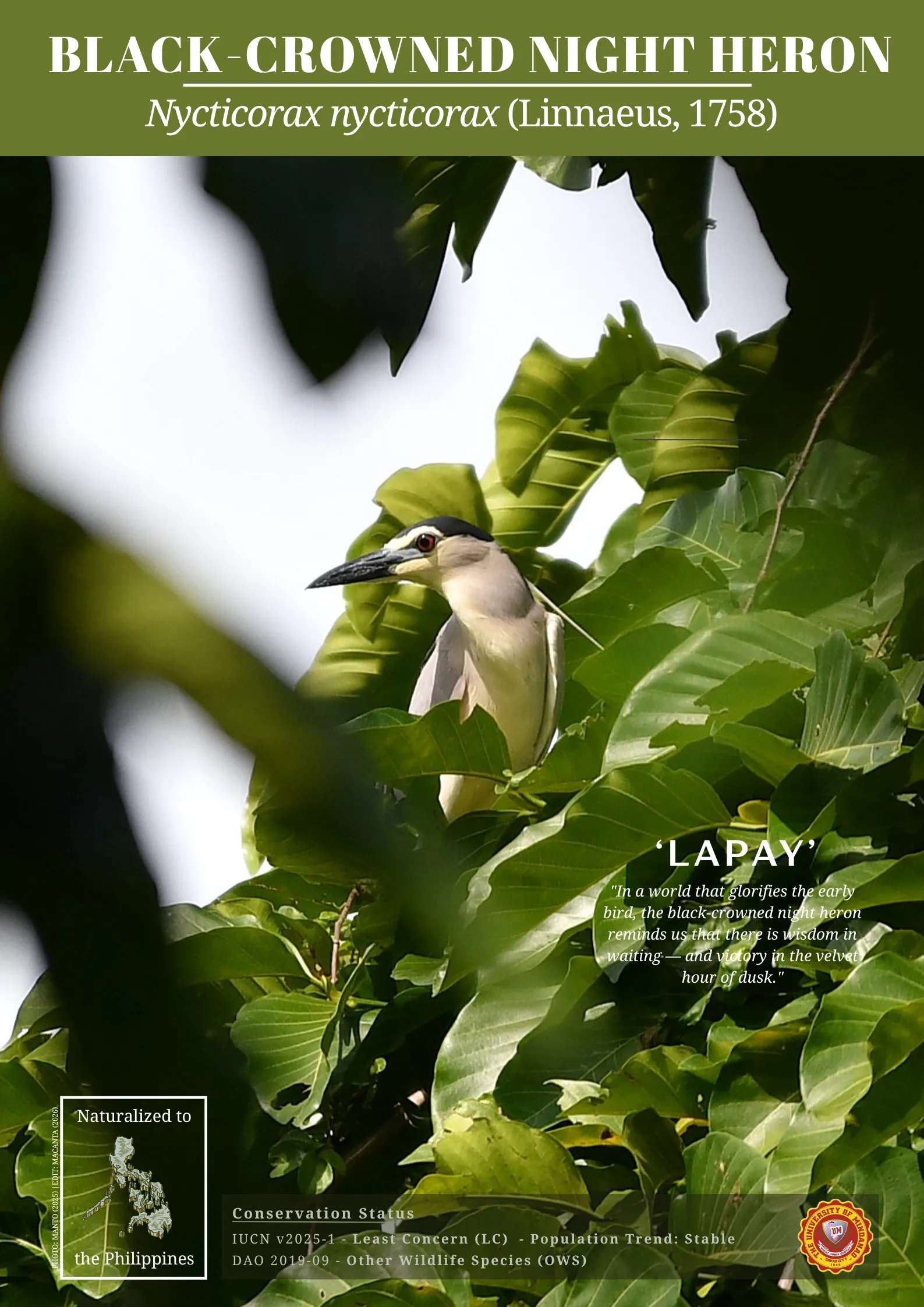 UM biodiversity