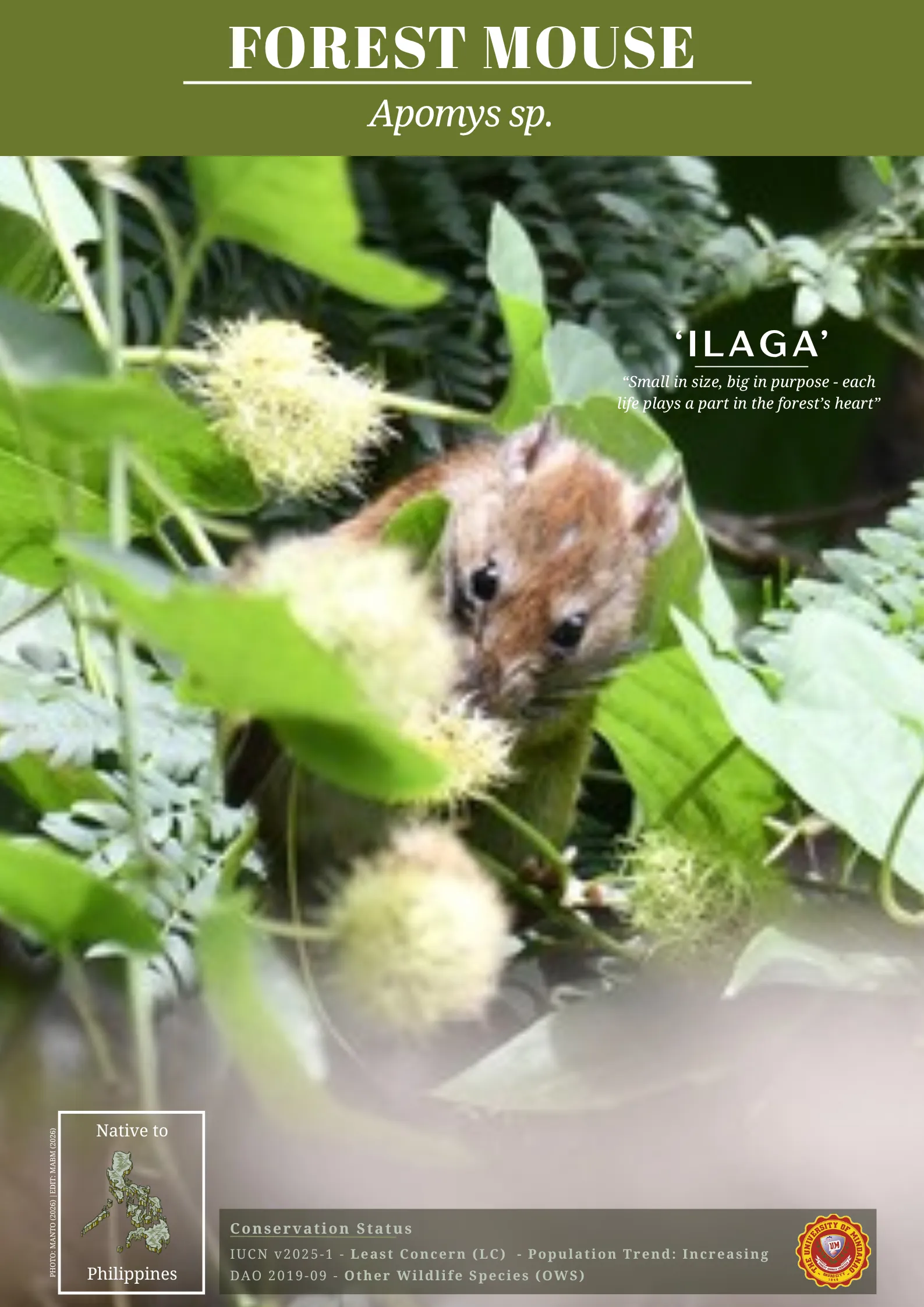 UM biodiversity
