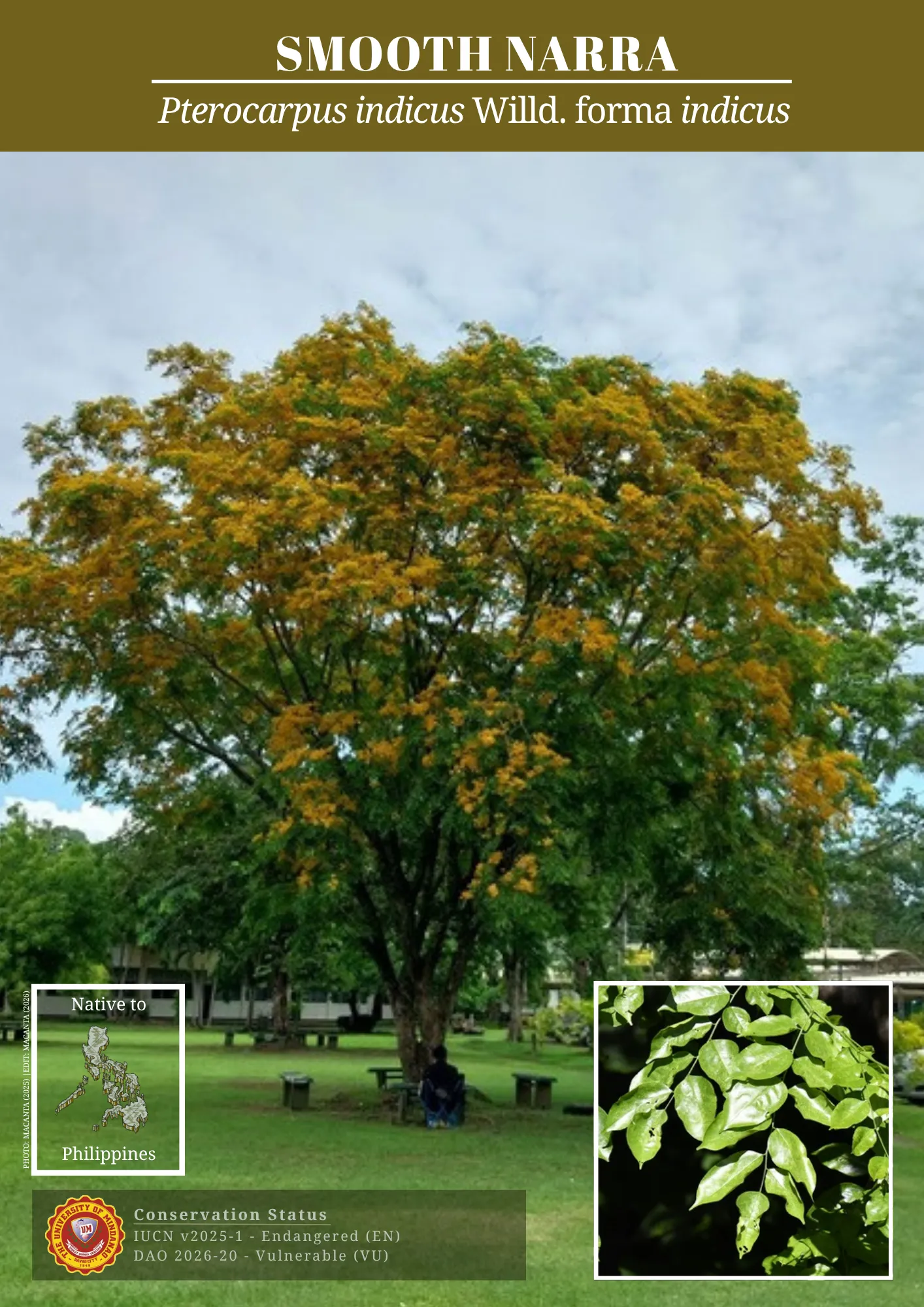 UM biodiversity