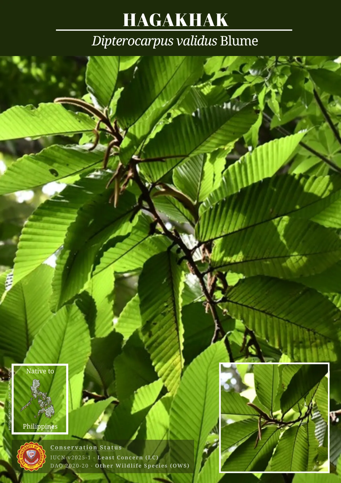 UM biodiversity