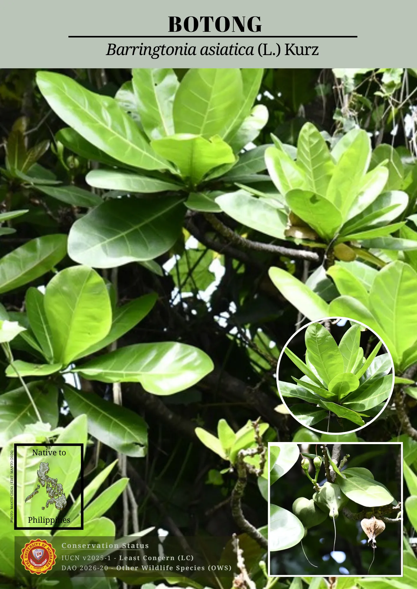 UM biodiversity
