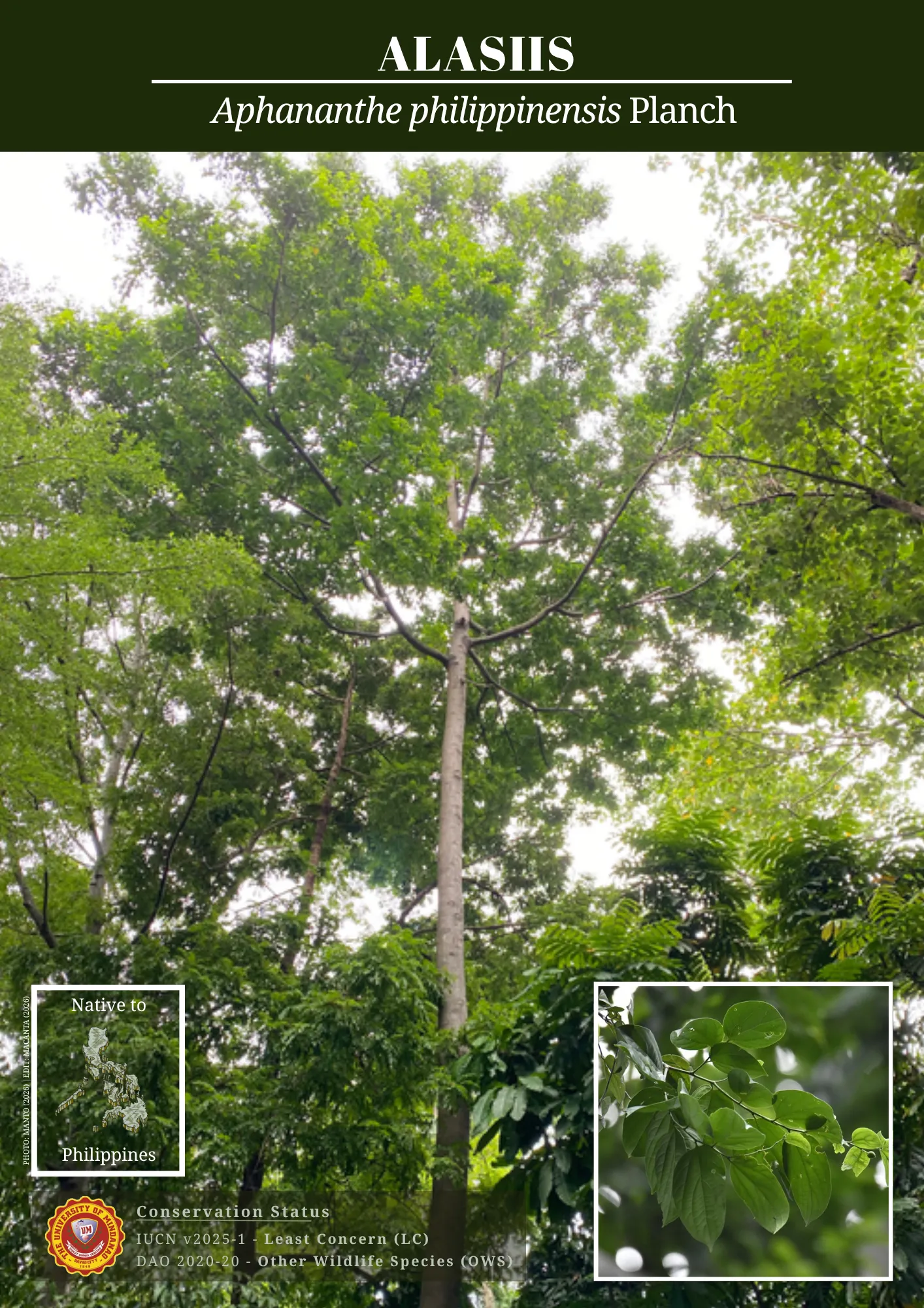UM biodiversity