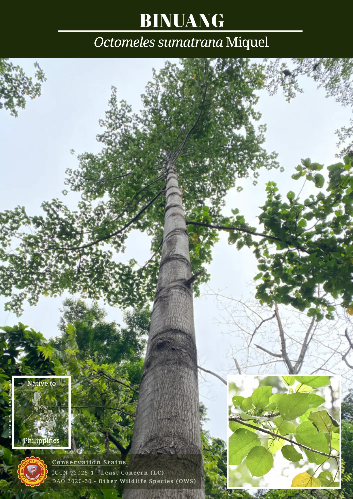 UM biodiversity